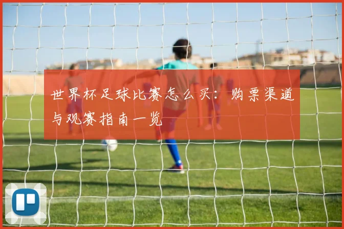 世界杯足球比赛怎么买:购票渠道与观赛指南一览