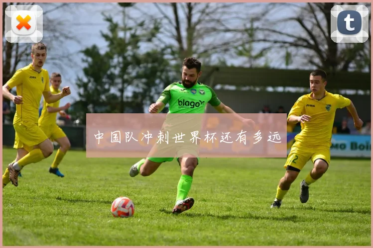 中国队冲刺世界杯还有多远