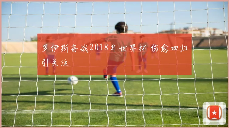 罗伊斯备战2018年世界杯 伤愈回归引关注