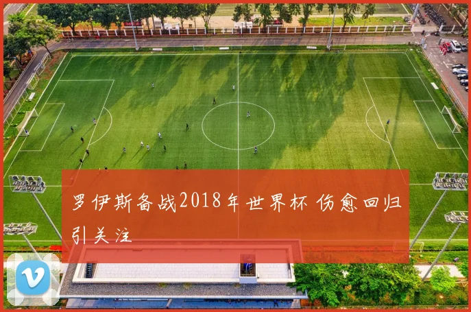 罗伊斯备战2018年世界杯 伤愈回归引关注